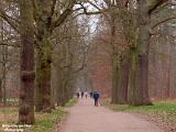 natuurplaatjes 2022